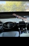 продам Toyota Land Cruiser (120) Prado в пмр  фото 2