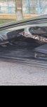 продам Volkswagen Passat в пмр  фото 3