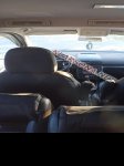 продам Volkswagen Sharan в пмр  фото 1