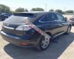 продам Lexus RX 450h в пмр  фото 2