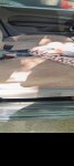 продам Ford Focus в пмр  фото 3
