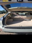 продам Lexus RX 400h в пмр  фото 4