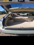продам Lexus RX 400h в пмр  фото 5