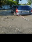 продам Mazda Premacy в пмр  фото 4